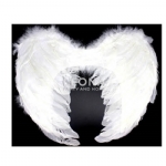ANGEL WINGS (SMALL) - angel wings small - 2    - Leona Party and Home