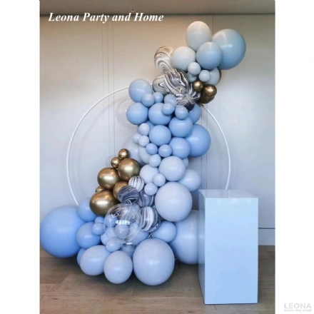 DPAB026 - Leona Party and Home