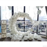 DPWP001 - dpwp001 - 3    - Leona Party and Home