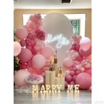 DPWP003 - dpwp003 - 1    - Leona Party and Home