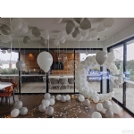 DPWP008 - dpwp008 - 2    - Leona Party and Home