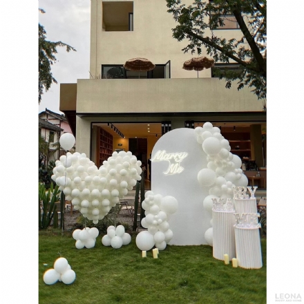 DPWP009 - Leona Party and Home