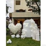 DPWP009 - dpwp009 - 1    - Leona Party and Home