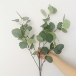 Eucalyptus Leaf Stem (92cm) - eucalyptus leaf stem 92cm - 2    - Leona Party and Home