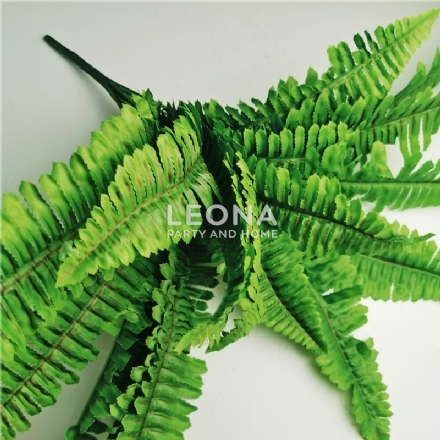 Fern Bush (47cm) - Leona Party and Home