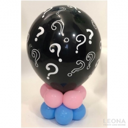 Gender Reveal Decoration A - Leona Party and Home