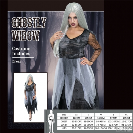 GHOSTLY WIDOW COSTUME - Leona Party and Home