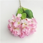 Hydrangea - Light Pink (80cm) - hydrangea   light pink 80cm - 1    - Leona Party and Home