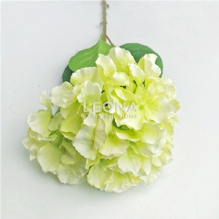 Hydrangea - Lime Green (80cm) - hydrangea   lime green 80cm - 1    - Leona Party and Home