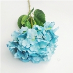 Hydrangea - Turquoise (80cm) - hydrangea   turquoise 80cm - 1    - Leona Party and Home