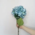 Hydrangea - Turquoise (80cm) - hydrangea   turquoise 80cm - 2    - Leona Party and Home