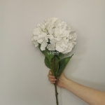 Hydrangea - White (80cm) - hydrangea   white 80cm - 2    - Leona Party and Home