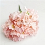 Hydrangea Bunch - Peach (50cm) - hydrangea bunch   peach 50cm - 1    - Leona Party and Home