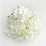 Hydrangea Bunch - White (50cm) - hydrangea bunch   white 50cm - 1    - Leona Party and Home