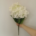 Hydrangea Bunch - White (50cm) - hydrangea bunch   white 50cm - 2    - Leona Party and Home