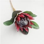 King Protea - Red (52cm) - king protea   red 52cm - 1    - Leona Party and Home