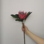 King Protea - Red (52cm) - king protea   red 52cm - 2    - Leona Party and Home