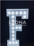 LIGHT UP LETTER FOR HIRE - light up letter for hire - 10    - Leona Party and Home