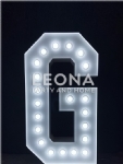 LIGHT UP LETTER FOR HIRE - light up letter for hire - 11    - Leona Party and Home
