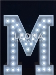 LIGHT UP LETTER FOR HIRE - light up letter for hire - 17    - Leona Party and Home
