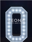 LIGHT UP LETTER FOR HIRE - light up letter for hire - 19    - Leona Party and Home