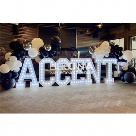 LIGHT UP LETTER FOR HIRE - Leona Party and Home