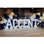 LIGHT UP LETTER FOR HIRE - light up letter for hire - 32    - Leona Party and Home