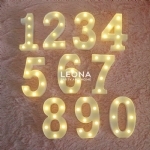 LIGHT UP NUMBER - light up number - 1    - Leona Party and Home