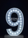 LIGHT UP NUMBER FOR HIRE - light up number for hire - 20    - Leona Party and Home